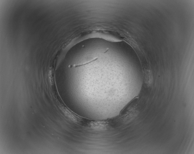 X0000083000378200702160055