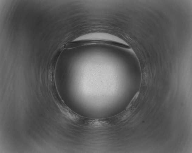 X0000083000379200702160056