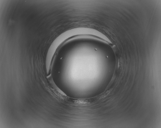 X0000083000380200702160056