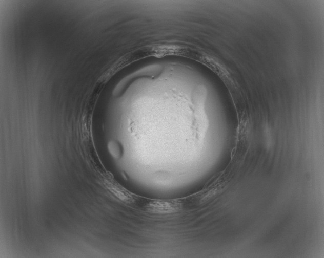 X0000083000381200702160056