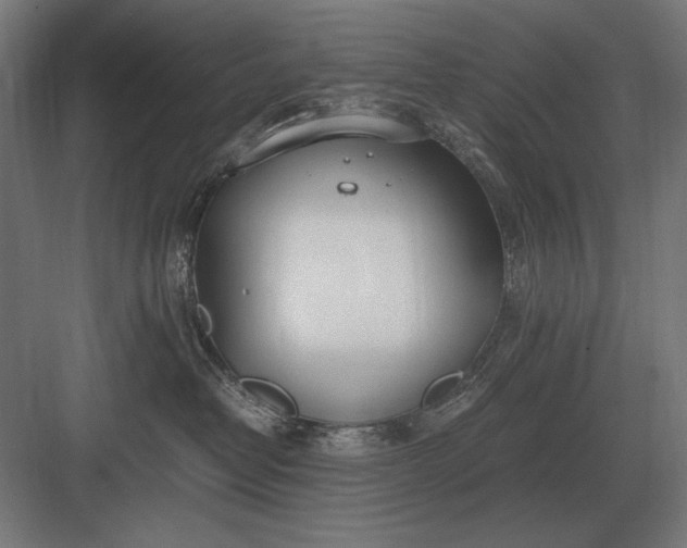 X0000083000382200702160056