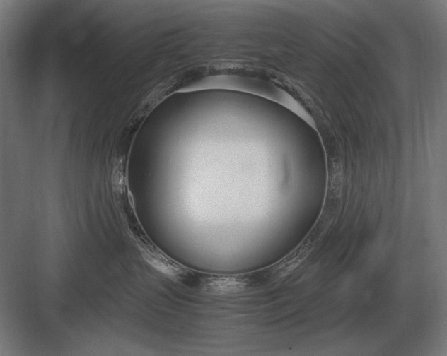 X0000083000383200702160056