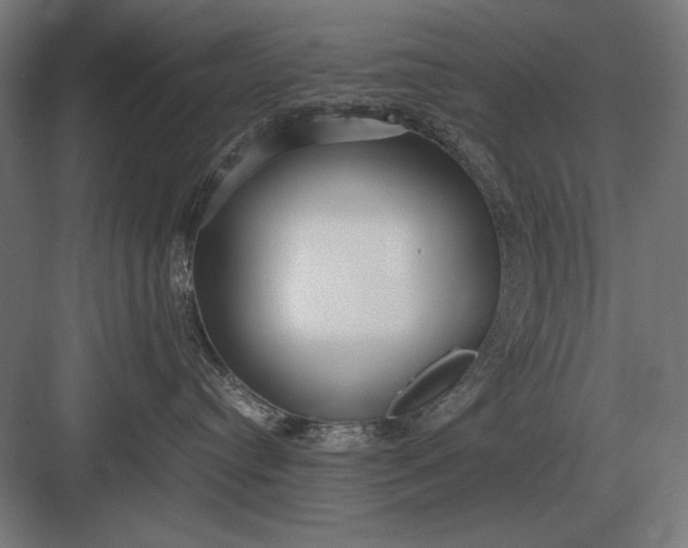 X0000083000384200702160056