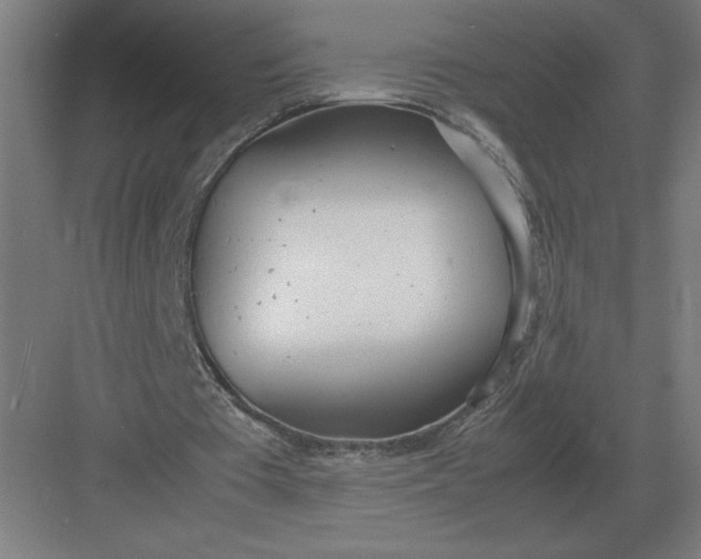 X0000083000385200702160055