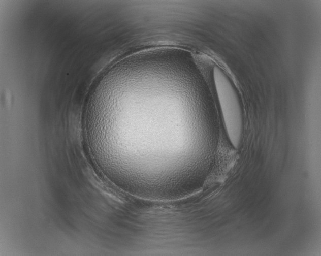 X0000083000386200702160055