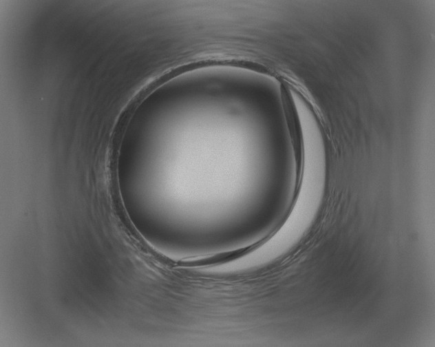 X0000083000387200702160055