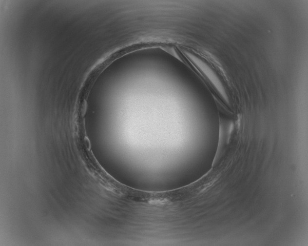 X0000083000388200702160055