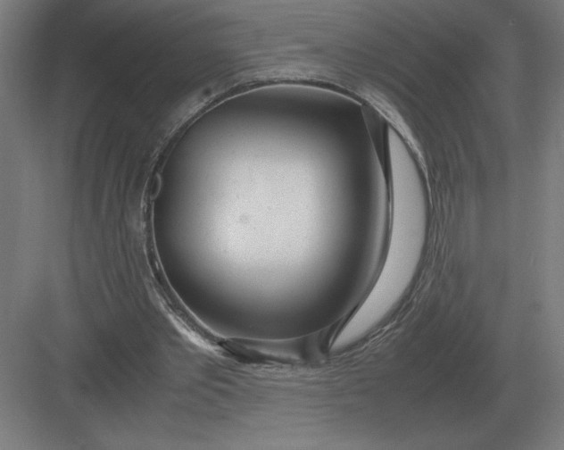 X0000083000389200702160055