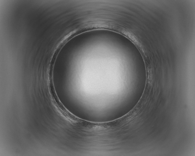 X0000083000390200702160055