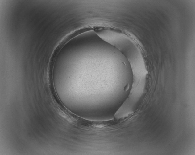 X0000083000391200702160055