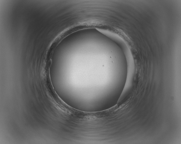 X0000083000392200702160055