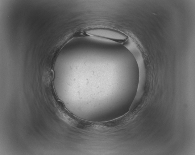 X0000083000393200702160055