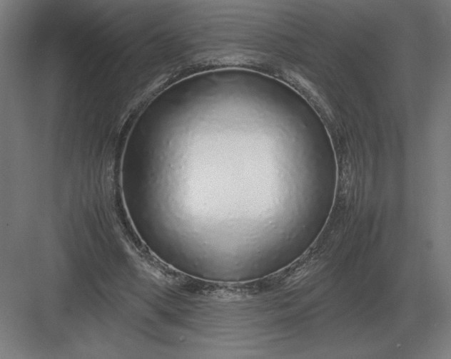 X0000083000394200702160055