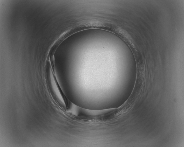 X0000083000395200702160055