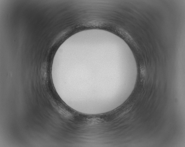 X0000083000396200702160055