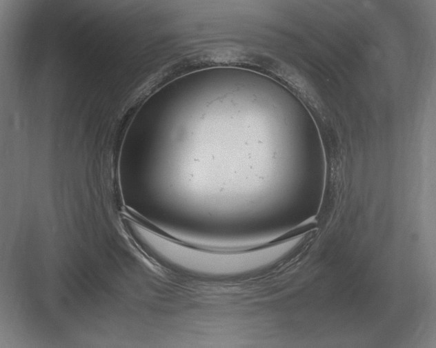 X0000083000397200702160055