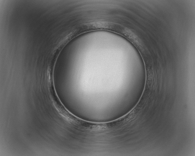 X0000083000398200702160055