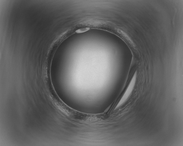 X0000083000399200702160055