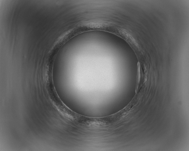 X0000083000400200702160055