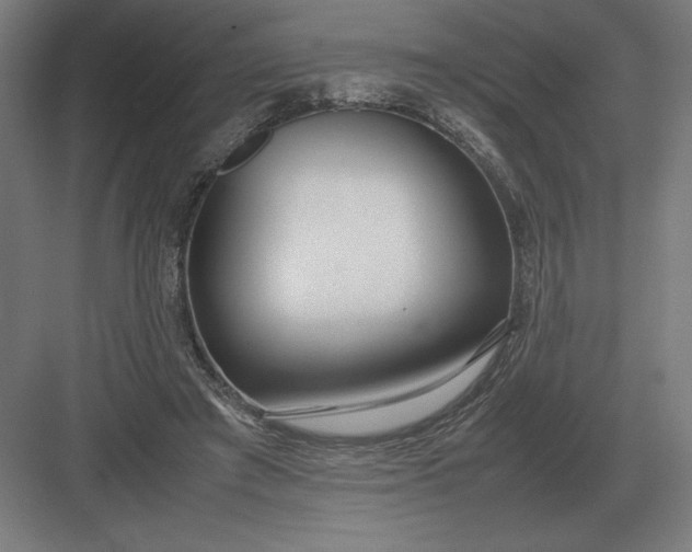 X0000083000401200702160055