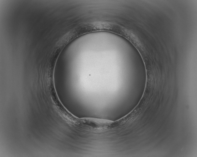 X0000083000402200702160055