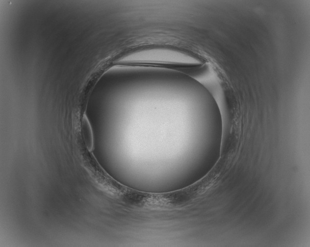 X0000083000403200702160054