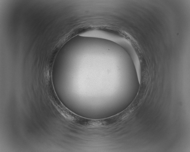 X0000083000405200702160054