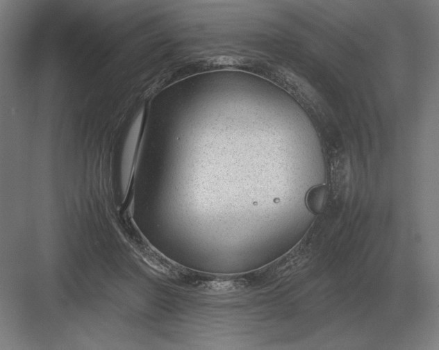 X0000083000406200702160054