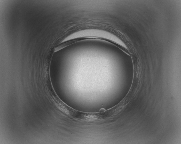 X0000083000409200702160054