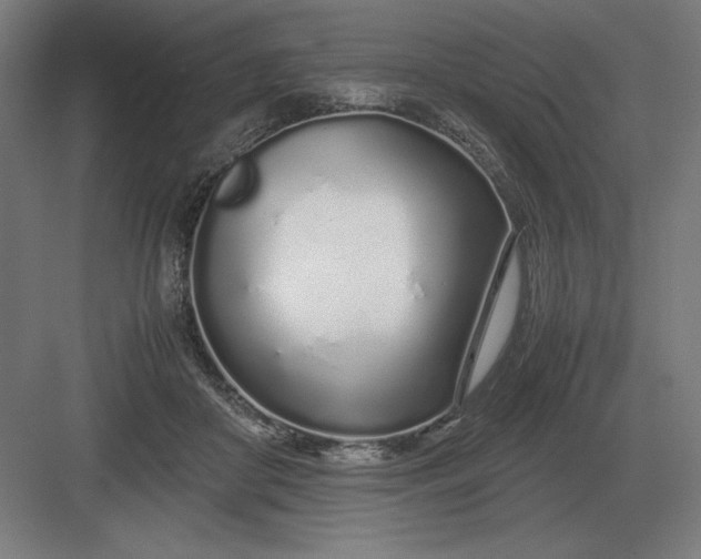 X0000083000410200702160054