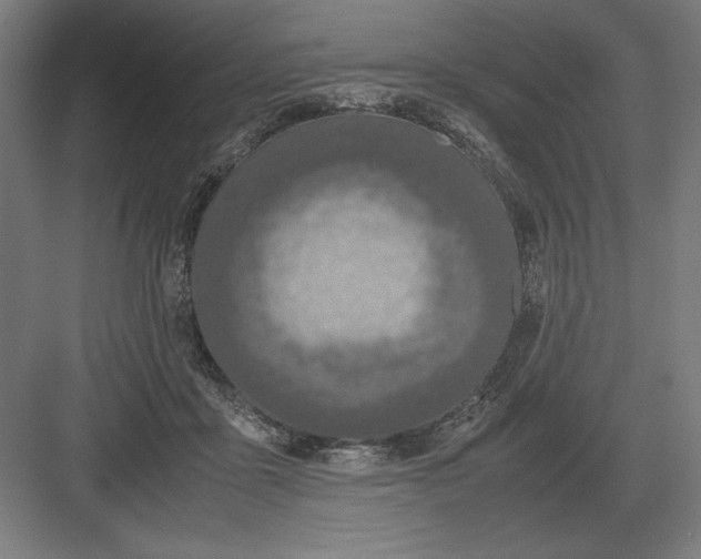 X0000083000411200702160054