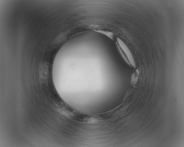 X0000083000412200702160054