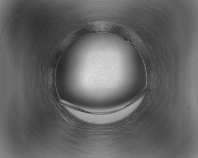 X0000083000413200702160054