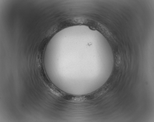 X0000083000414200702160054