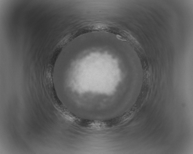 X0000083000415200702160054