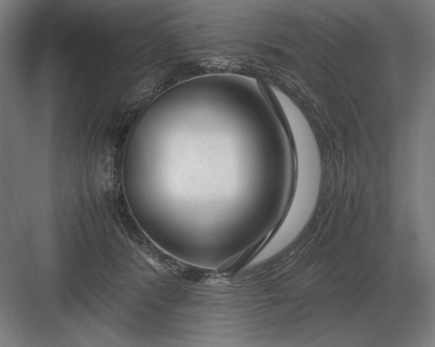 X0000083000416200702160054