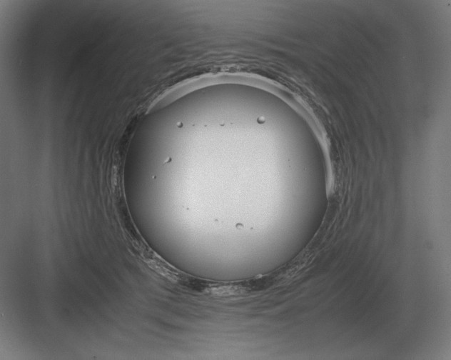 X0000083000417200702160054