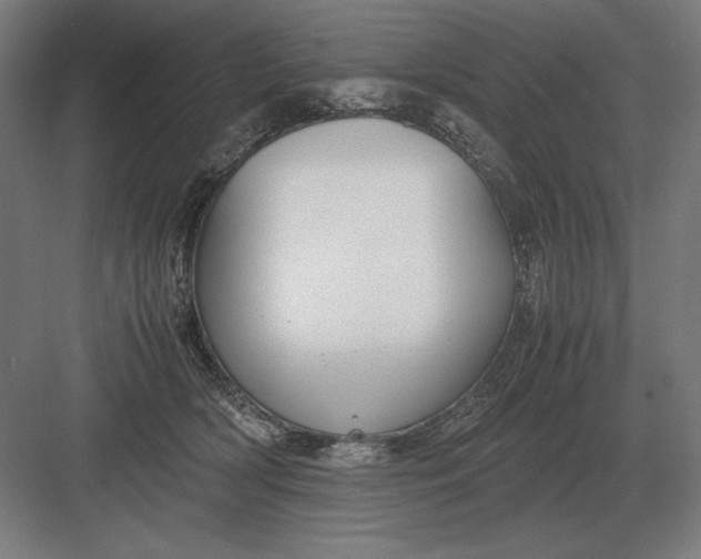 X0000083000418200702160054