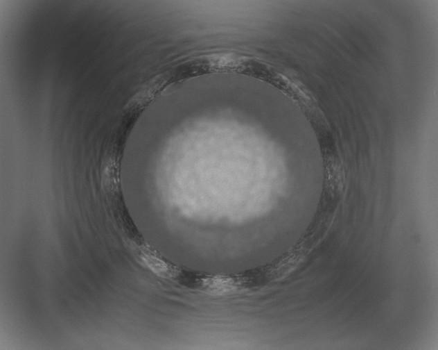 X0000083000419200702160054