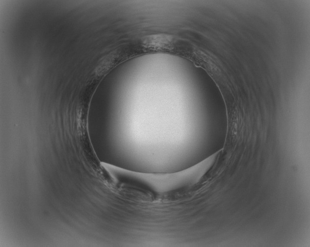 X0000083000420200702160054