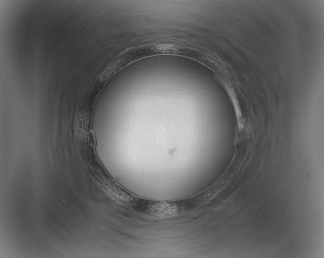 X0000083000421200702160054