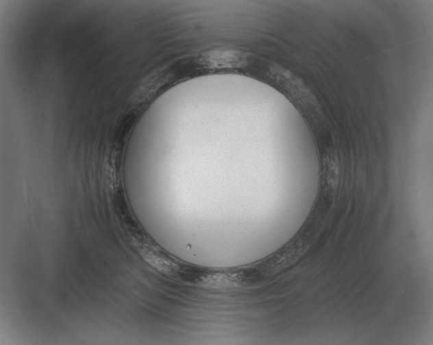 X0000083000422200702160054