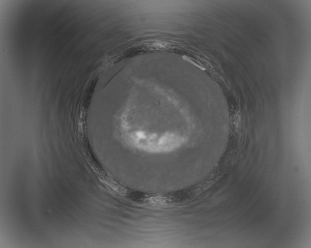 X0000083000423200702160054