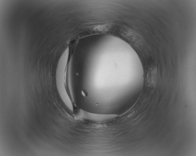 X0000083000424200702160054