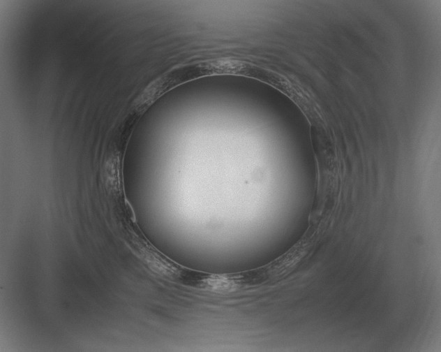 X0000083000425200702160054