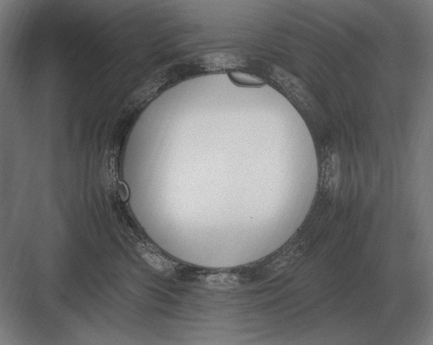 X0000083000426200702160054