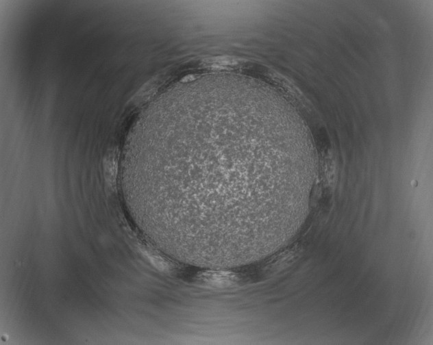 X0000083000427200702160054