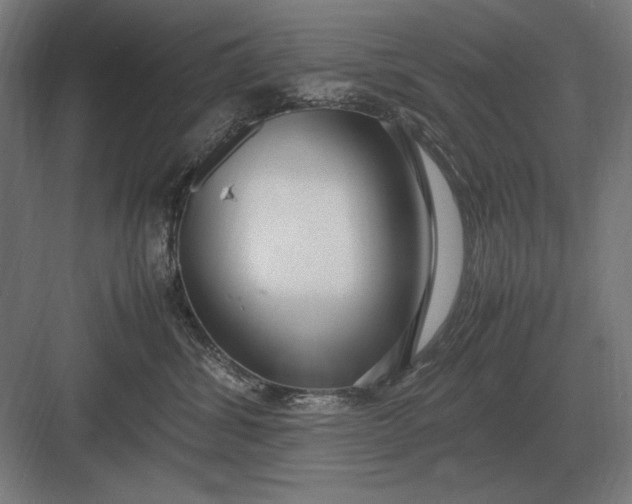 X0000083000428200702160054