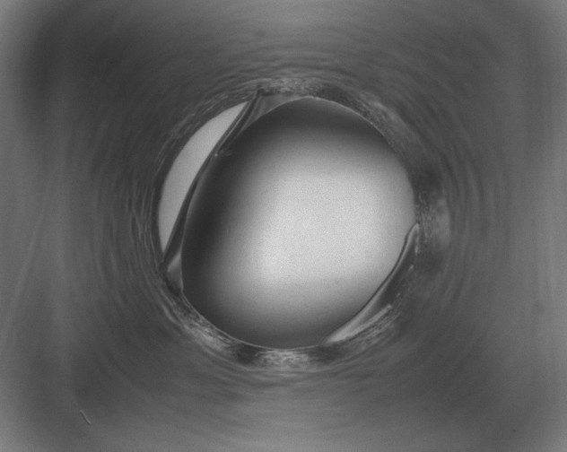 X0000083000429200702160054