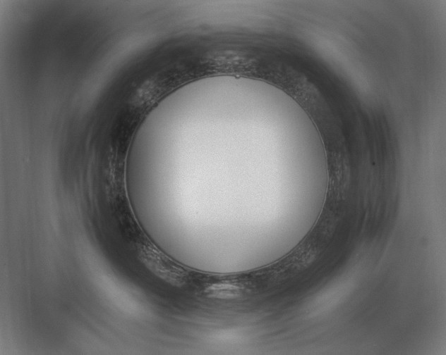 X0000083000430200702160054